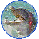 (ツ)